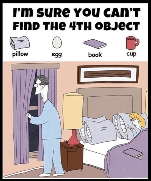 The 17-Second Challenge: Find the Book, the Cup, the Egg, and the Pillow