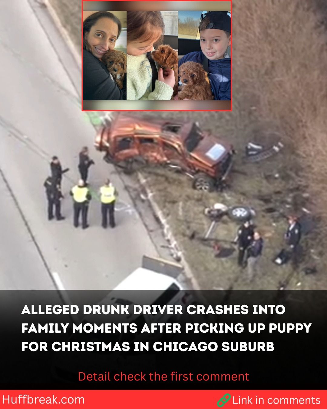 Suburban family hurt in alleged DUI crash moments after picking up puppy for Christmas