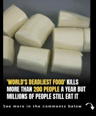 Despite Being the Worlds Deadliest Food, 500 Million Still Consume It, and It Claims Over 200 Lives Annually