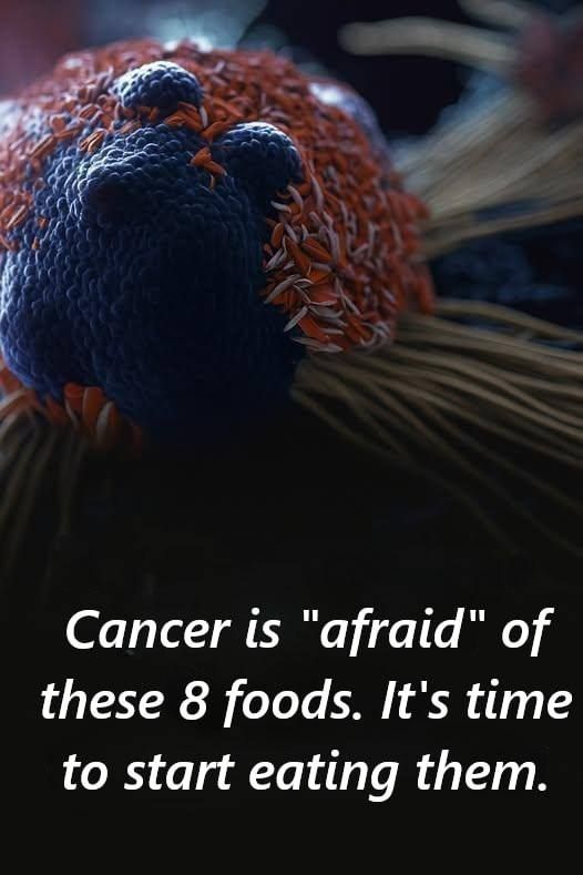 Cancer is “afraid” of these 8 foods.December 31, 2025
