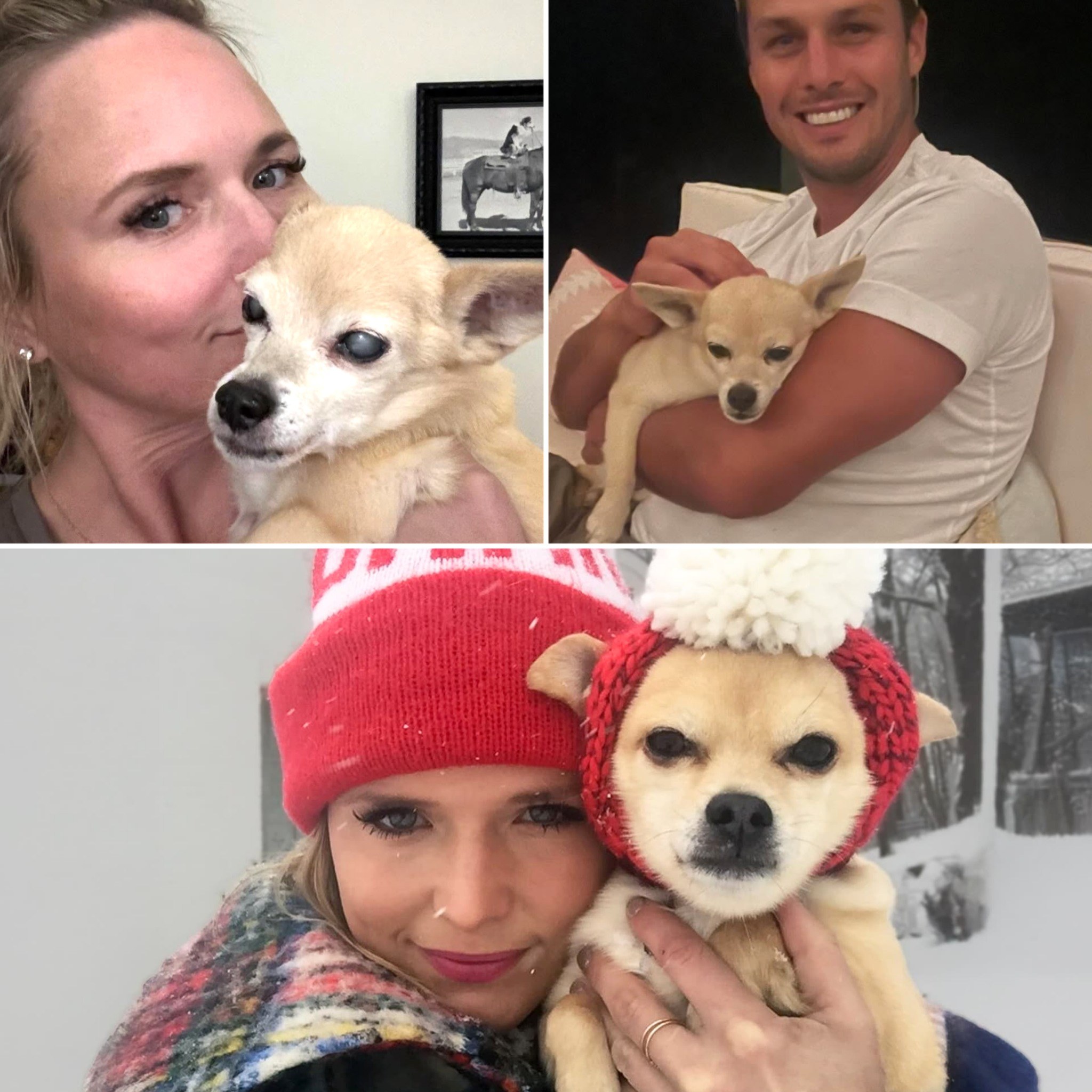 Cher, Miranda Lambert’s 15-Year-Old Chihuahua, Passes Away — Singer Says Farewell