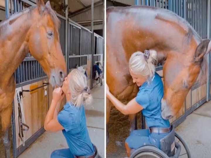 When Curiosity Turns To Scars