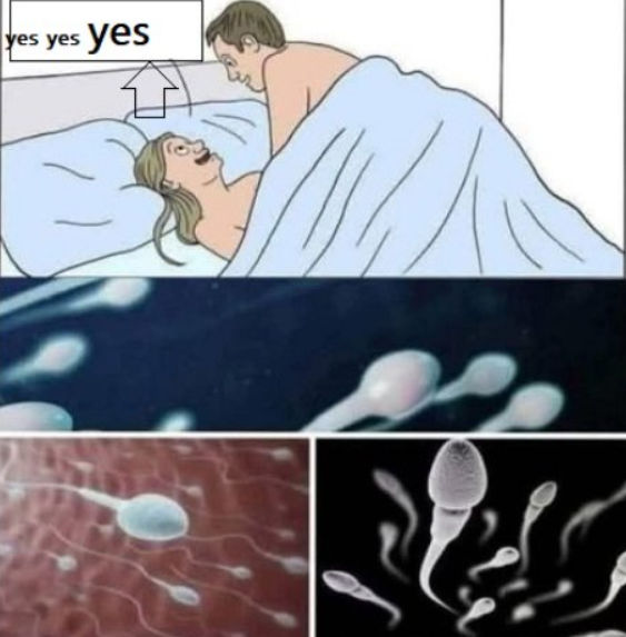 Most people think motivation When Motivation Hits All Levels…See more