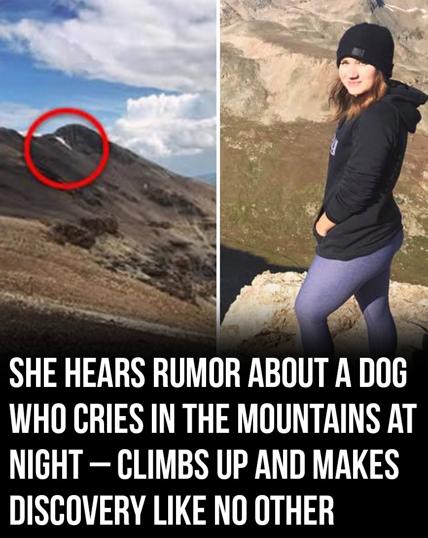 She Heard About a Dog Crying in the Mountains at Night – Went to Investigate and Found Something Incredible