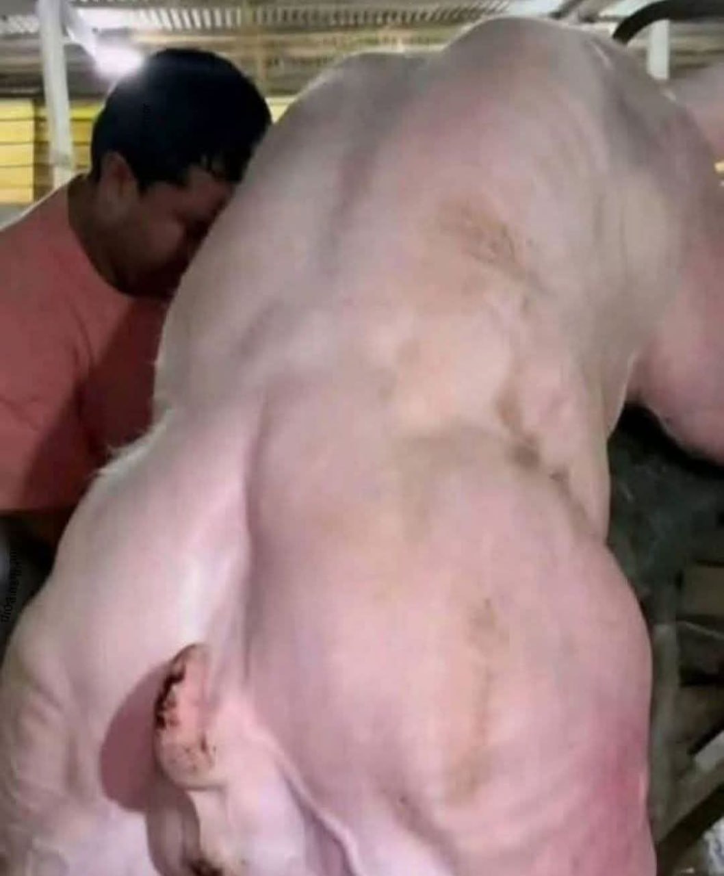 HT2. Young man hospitalized after being penitentiated…See more