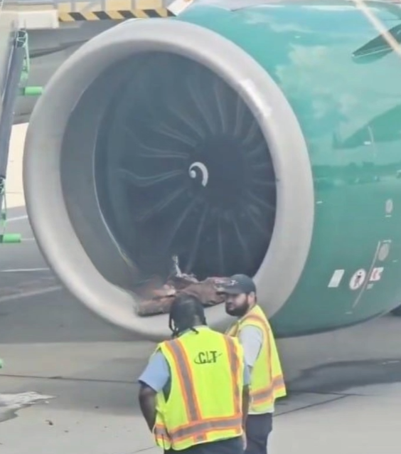 Charlotte Airport Experiences Delays Following Frontier Airlines Plane Incident