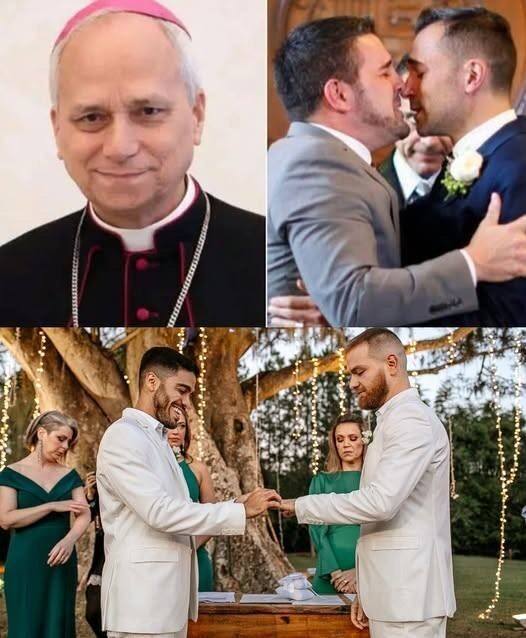 A Ten-Second Message That Sparked Global Debate: Pope Leo XIV’s “Many”