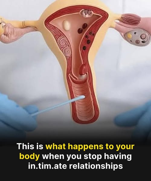 The Hidden Consequences of a s*xless Life