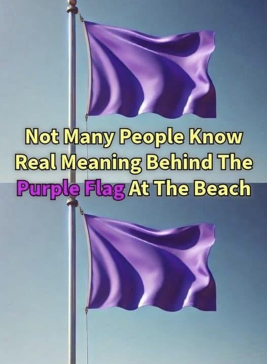 What a Purple Flag at the Beach Really Means