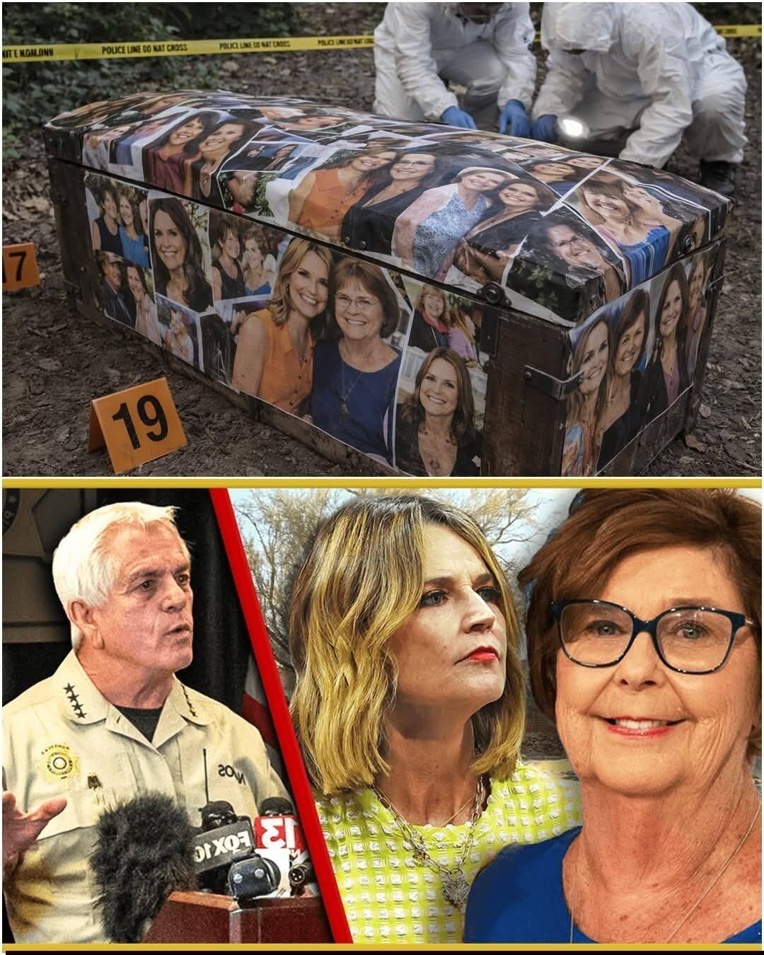 A Case That Captured Public Attention: Investigation, Loss, and the Search for Answers