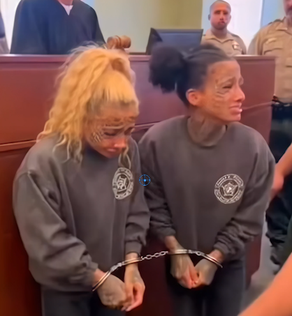 They Thought It Was Just Trouble… Until the Sentence Shocked an Entire Nation