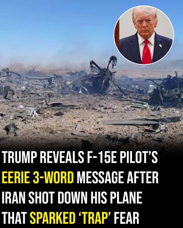 Pilot’s 3-word message after Iran shot down