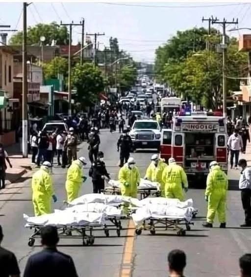 A Dark Fin Was Spotted Near the Shore — What Happened Next Quickly Changed the Entire Beach Scene