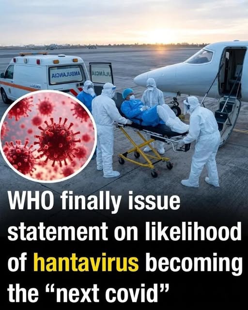 BREAKING NEWS: Health Authorities Closely Monitoring Hantavirus Cases Linked to Cruise Ship MV Hondius