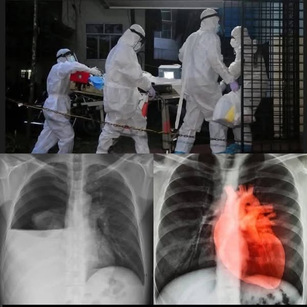 COVID-19 vaccinated individuals may be ill….