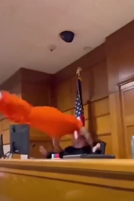 Courtroom Chaos Erupts After Defendant Charges at Judge Following Sentencing